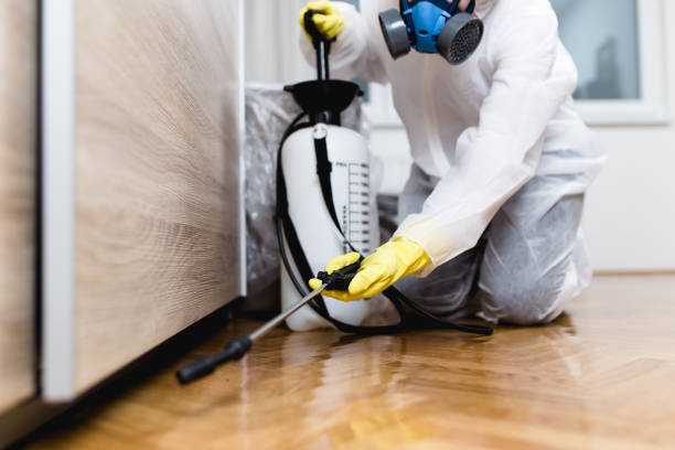 Professional Pest Control in Red Lion, PA
