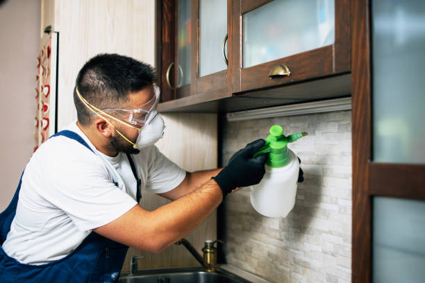 Best Pest Inspection Near Me  in Red Lion, PA