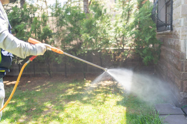 Wasp Removal Services in Red Lion, PA