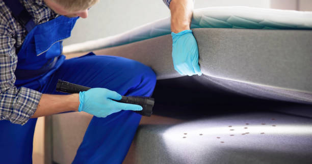 Best Pest Control Near Me  in Red Lion, PA