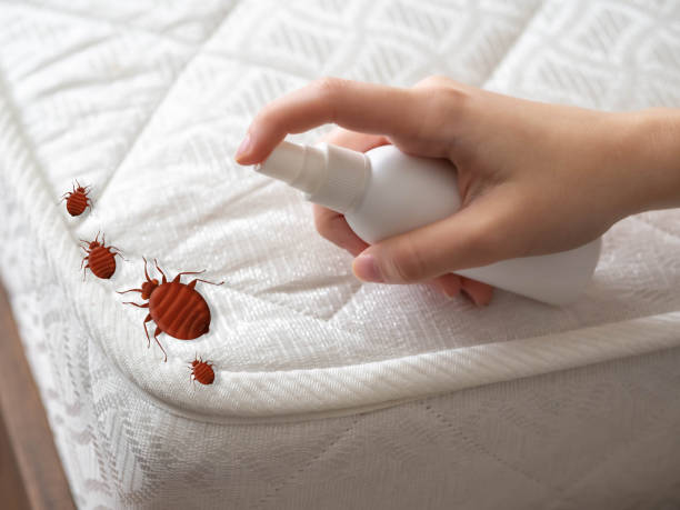 Best Bed Bug Extermination  in Red Lion, PA