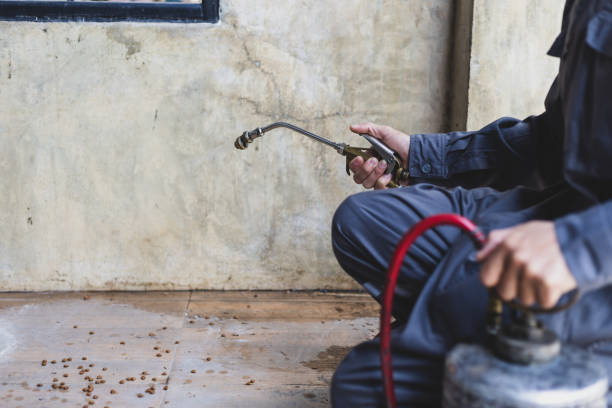 Best Pest Removal Services  in Red Lion, PA